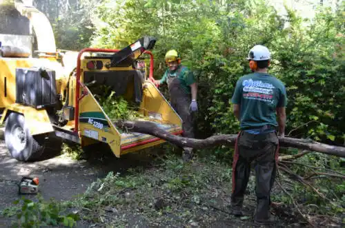 tree services Tunnel Hill